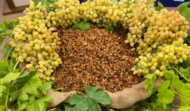 Kuru Meyvede 2025 İhracatı 1,7 Milyar Dolar