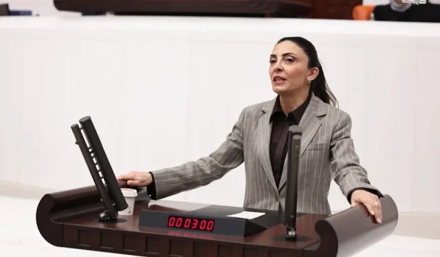 Nurhayat Altaca Kayışoğlu: “Özgür Sanat Olmadan Demokrasi Olmaz”