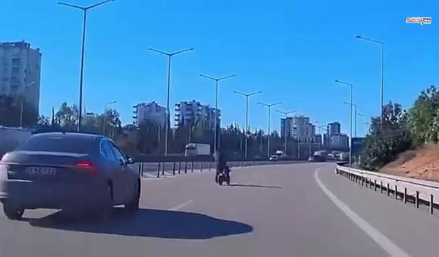 Otoyolda bisikletli tehlikesi: Kazaya ramak kaldı