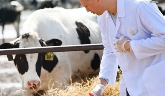 Tarımsal Girdilerde Yüzde 33 Artış