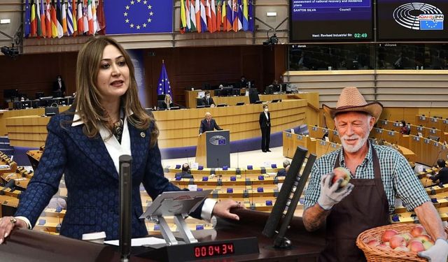 Vekil Karakoç, Avrupa'da Türk Çiftçisinin Haklarını Savundu