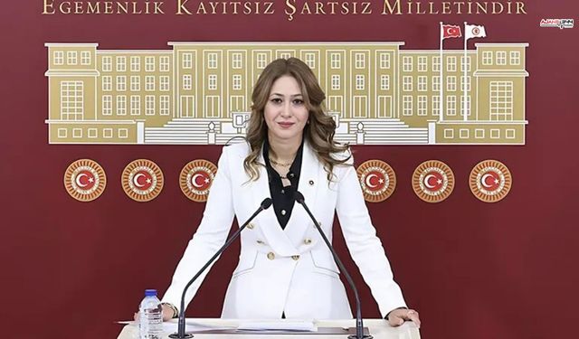 Milletvekili Karakoç, Kahramanmaraş İçin Bütçe Talebini Meclis'te Dile Getirdi