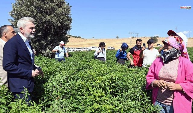 Kahramanmaraş Büyükşehir'den üreticilere 100 milyon TL'lik destek