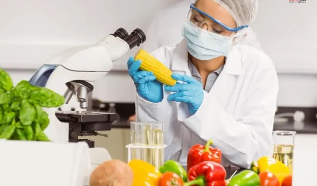 Gıda katkı maddelerine yeni düzenleme