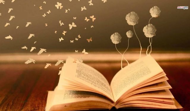 Kitap okuma oranı en düşük iller belli oldu: Kahramanmaraş listede