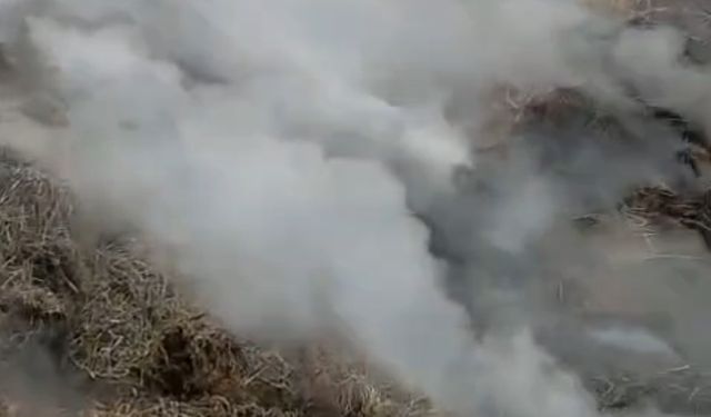 Samanlık Yangını Kontrol Altına Alındı