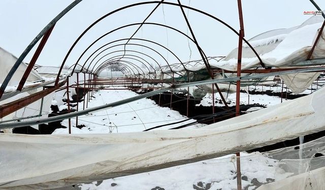 Türkoğlu’nda Yoğun Kar Seralara Zarar Verdi