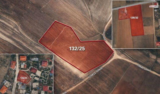 Afşin'de Milyonluk Taşınmazlar Satışta