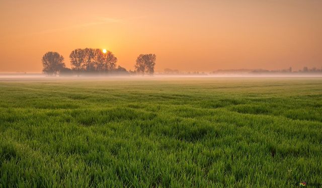 Elbistan'da dev tarım arazisi icralık oldu: Devlet bu rakama elden çıkartacak!