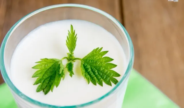 Ramazan'da susuz kalmayın... Süt ve ayran hidrasyonun gizli kahramanları