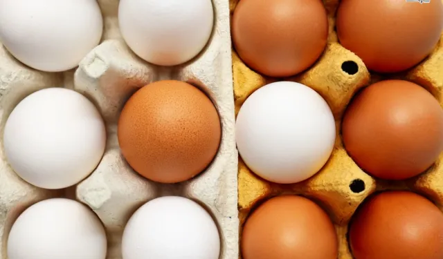 Yumurtanın doğrudan arzında limit artışı... Resmi Gazete'de yayımlandı