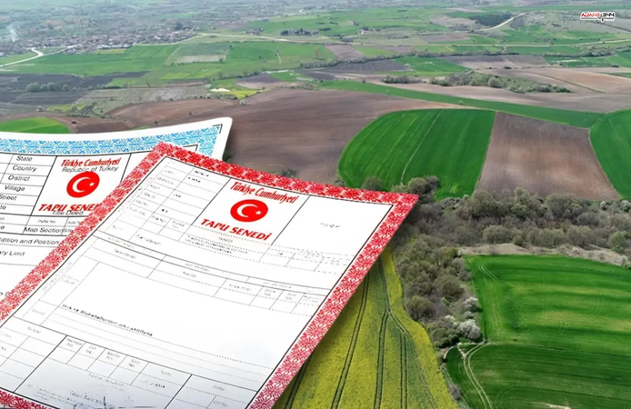 Yargıtay’dan Ortak Tapuya Kritik Şufa Kararı