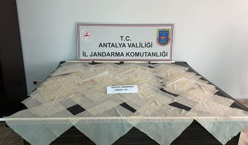 Piyasa değeri 2 milyon TL olan bonzai ele geçirildi