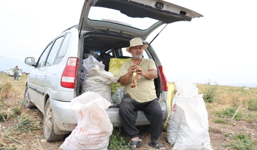 80 dönüm Tarla sahibinin soğanları vatandaşlara hayrına bıraktığını söyleyen 65 yaşındaki Celil İnal, “Soğan her ne hikm