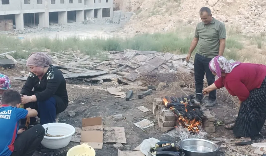 Mardin'de ‘babaganuç’ mesaisi başladı