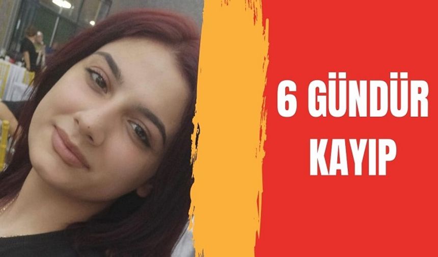 ‘Pikniğe Gidiyorum’ Dedi, 6 Gündür Kayıp