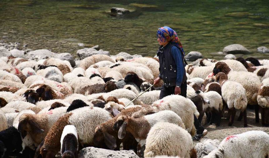 Bir çocuğun sessiz çığlığı: "Hiç oyuncağım olmadı"