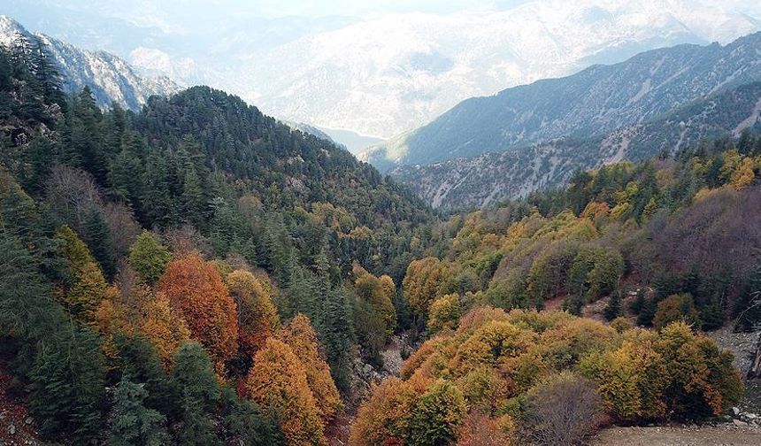 Düldül Dağı: Kahramanmaraş’ın Saklı Cenneti