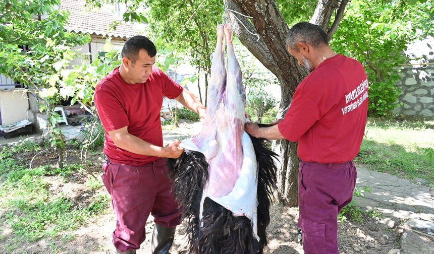 Belediye Evlere Giderek Tek Tek Kurbanları Kesti