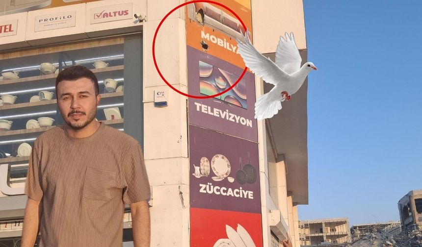 Kahramanmaraş’ta Kuşları Kurtarmak İçin 150 Bin TL’lik Masraf Yaptı