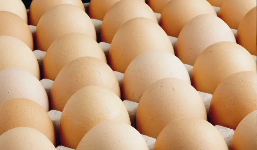 A sınıfı yumurtalarda 'tüketim tarihi' zorunluluğu... Türk Gıda Kodeksi Yumurta Tebliği'nde değişiklik