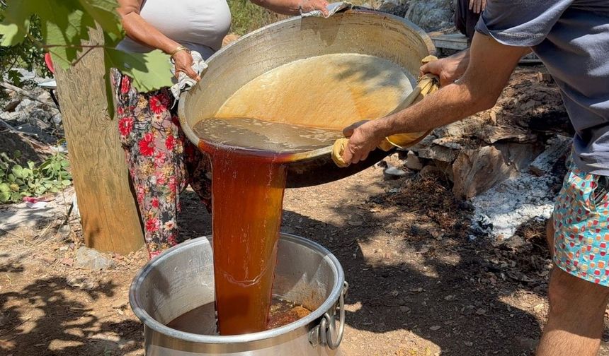 Geleneksek Pekmez Üretimi Başladı