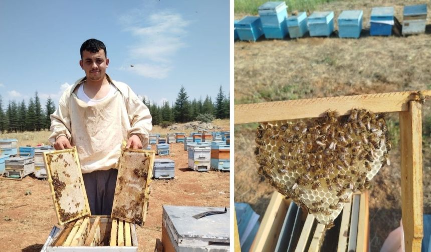 Bilgisayar Mezunu Baba Mesleği Arıcılığı Tercih Etti