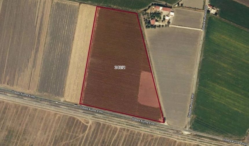 Kahramanmaraş'ta 11.754 m² Tarla Hissesi İhaleye Çıkıyor