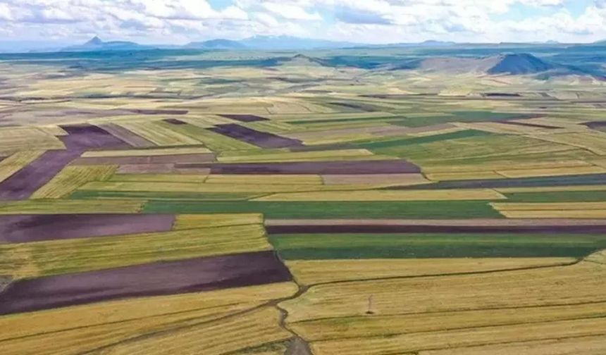 Göksun'da Hazine Arazileri İçin İhale Tarihi Belli Oldu