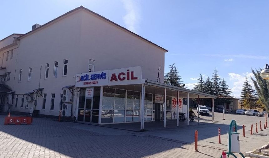 Kahramanmaraş’ta Arı Sokan 9 Yaşındaki Çocuk Hayatını Kaybetti