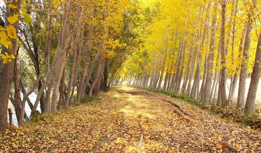 Kahramanmaraş’ta Göksun Sonbahar Renklerine Büründü