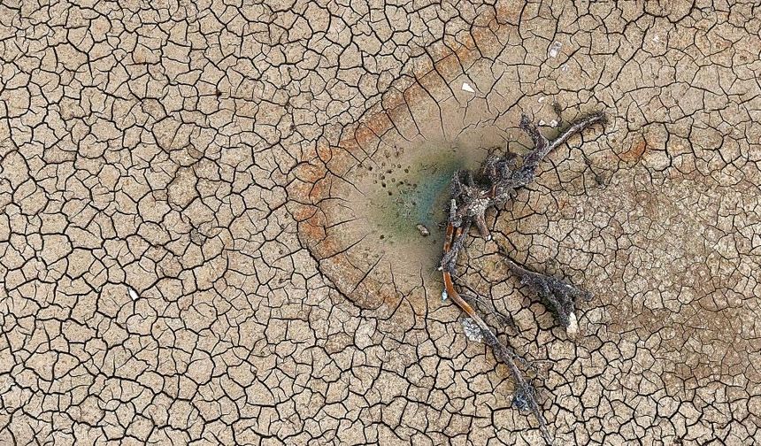 Kahramanmaraş'ta Barajlar Alarm Veriyor: Doluluk Oranı Sadece %1'e Düştü