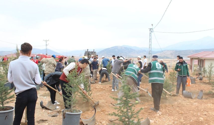 Kahramanmaraş'ta 90.000 Yeşil Sevda Toprakla Buluştu