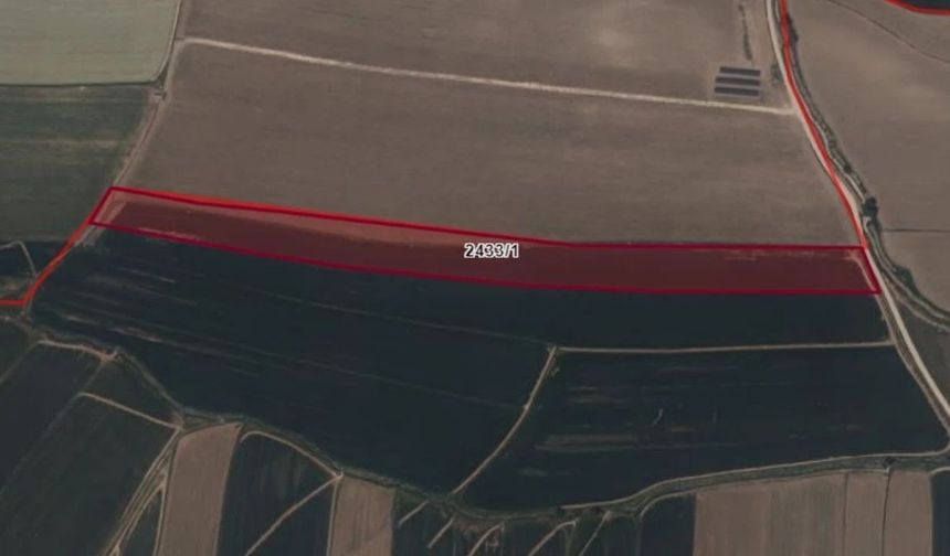 Elbistan'da 43.280 m² Tarım Arazisi İcradan Satışta