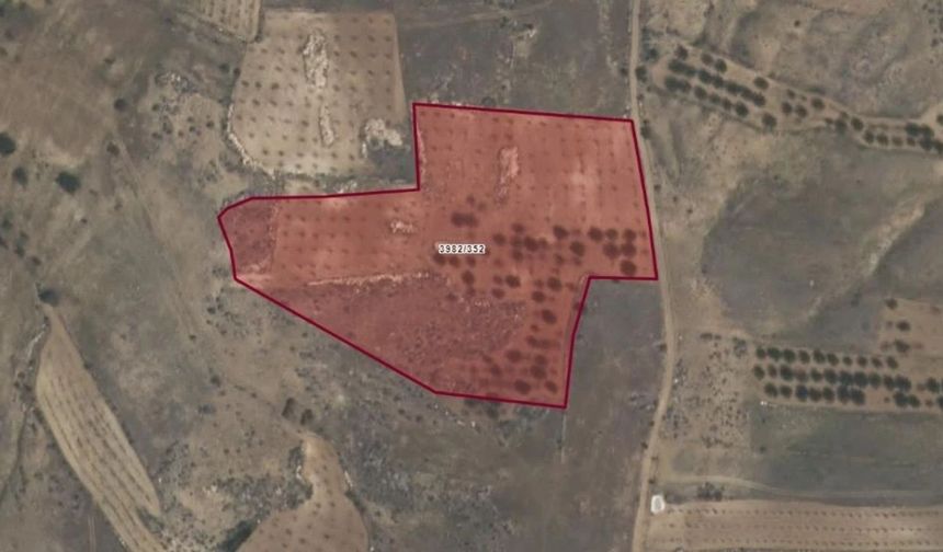 Kahramanmaraş'ta 1 Milyonluk Tarım Arazisi Satışta!