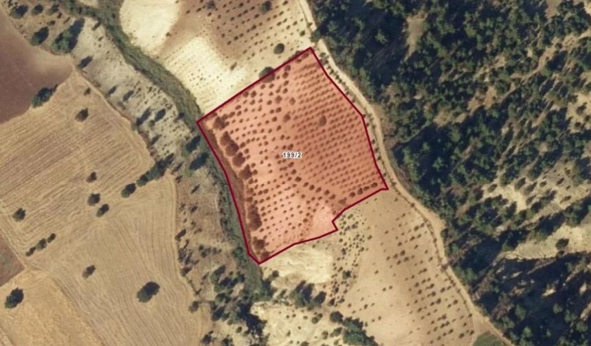 Kahramanmaraş'ta 10.821 m² Tarla İcradan Satışta