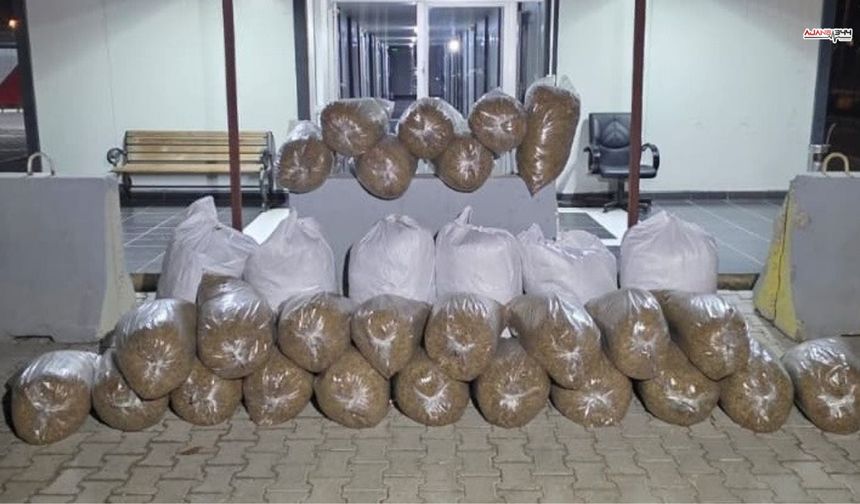 Kahramanmaraş'ta Kaçak Tütün Operasyonu