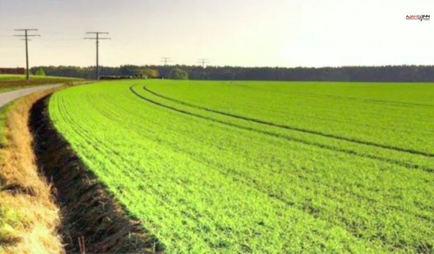 Kahramanmaraş'ta 27 Dönümlük Tarla İcradan Satışta