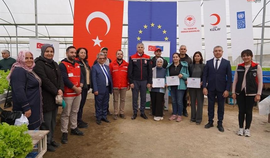 Topraksız marul yetiştiriciliği projesi hayata geçirildi