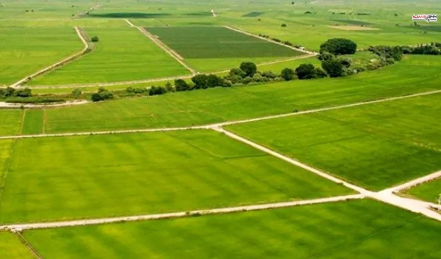 Kahramanmaraş'ta 725 m² arsa icradan satışta