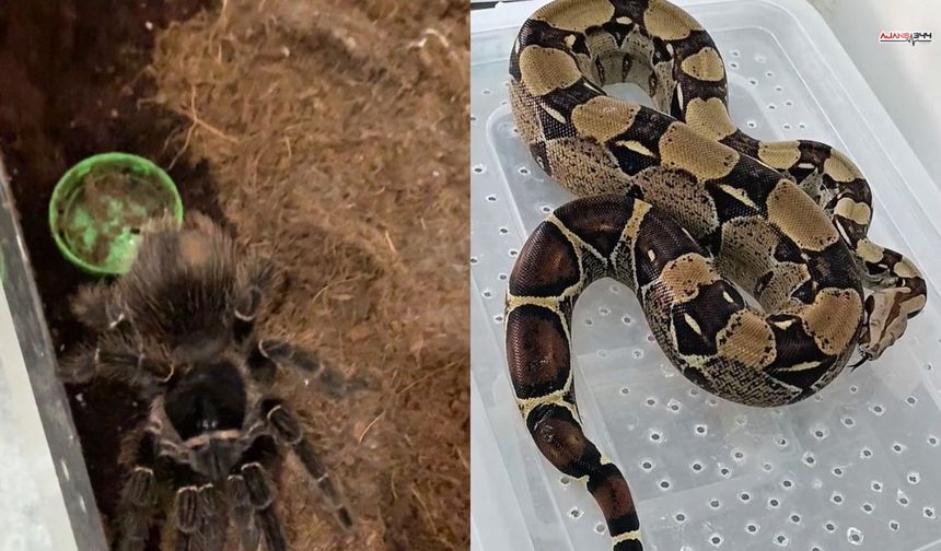 Burdur’da Eve Operasyon: Hayvanat Bahçesi Gibi!