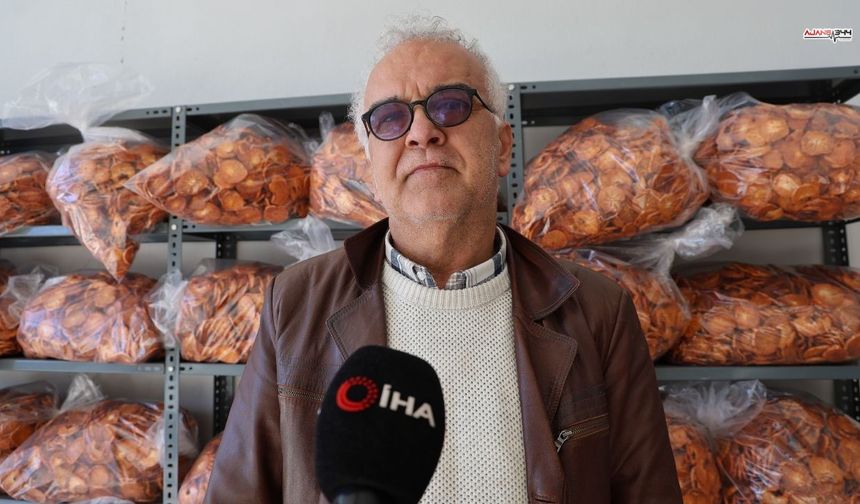 Cennet hurması kurusu artık Avrupa İhracatında