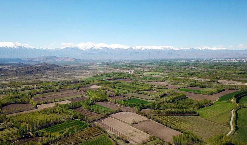 Kahramanmaraş'ın En Pahalı Yerinde Tarla Satılacak: Bu Rakamı İlk Getiren Toprak Sahibi Olacak