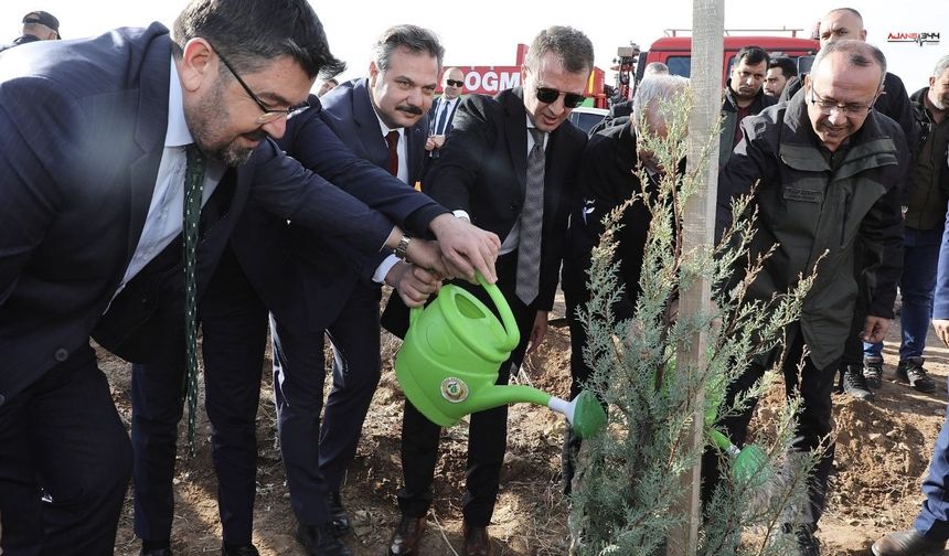 Kahramanmaraş'ta 30 Bin Fıstık Çamı Fidanı Toprakla Buluştu