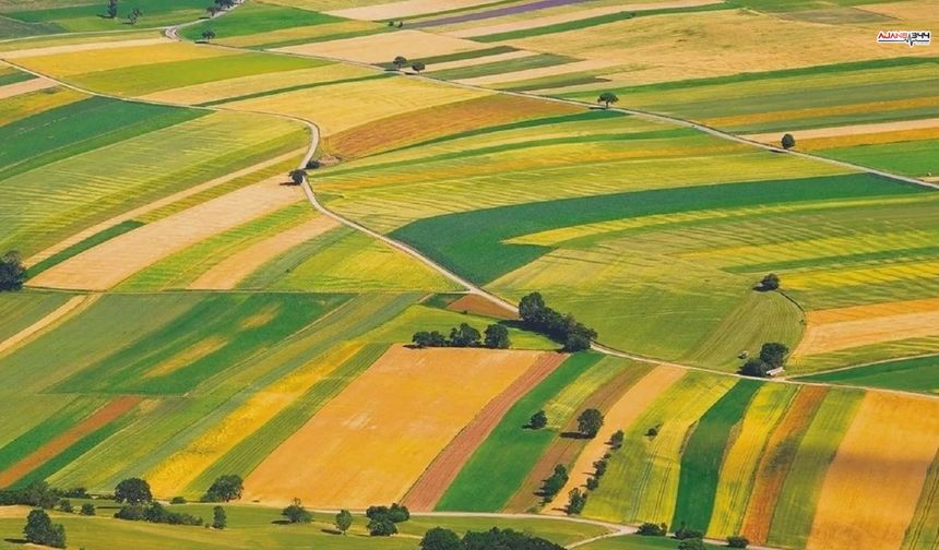Kahramanmaraş'ta 29 bin m² tarla icradan satışta