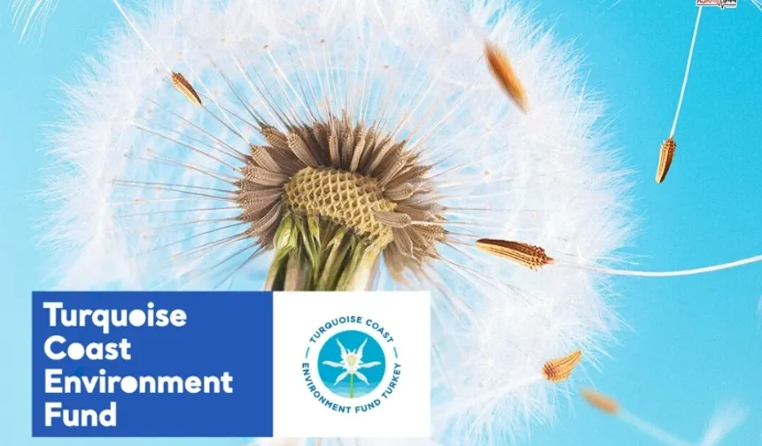 Hibe Programı Başvuruları Başladı: Güney ve Batı Kıyıları İçin Destek