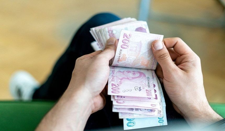 Türkiye'de çöpe atılan o şey Avrupa'da 35 bin liraya satılıyor!