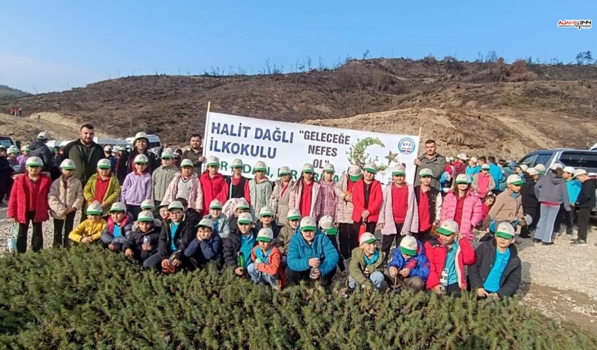 Minik eller 2 bin 500 fidanla doğaya hayat verdi