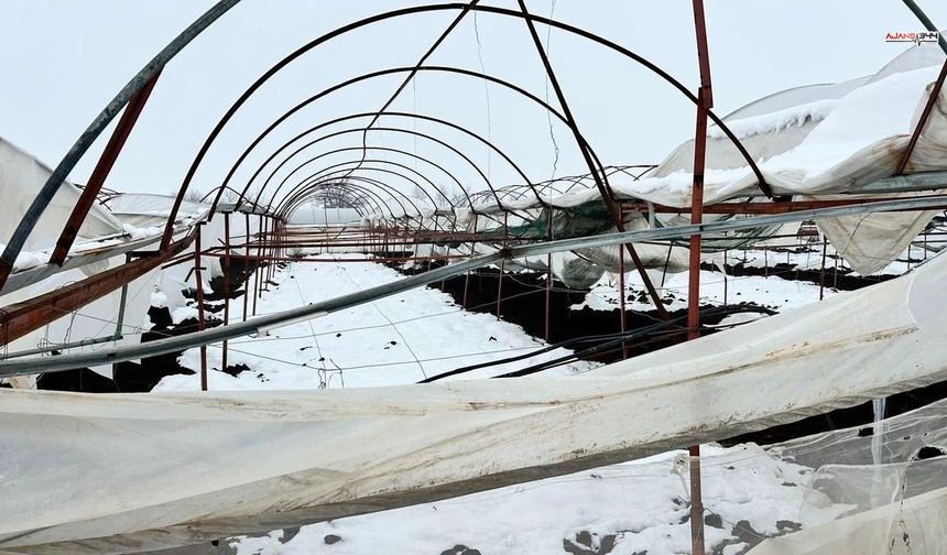 Türkoğlu’nda Yoğun Kar Seralara Zarar Verdi