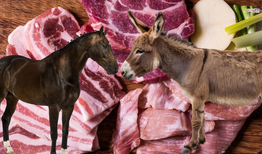 Kahramanmaraş’ta zincir market dönerinde at ve eşek eti skandalı